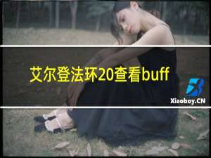 艾尔登法环 查看buff