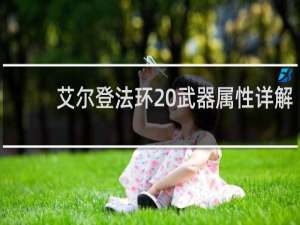 艾尔登法环 武器属性详解