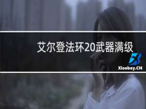 艾尔登法环 武器满级