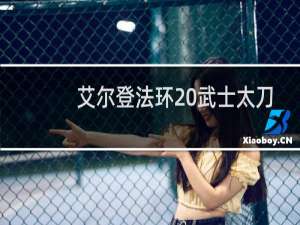 艾尔登法环 武士太刀