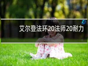 艾尔登法环 法师 耐力
