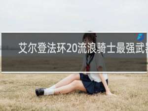 艾尔登法环 流浪骑士最强武器
