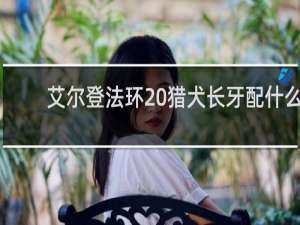 艾尔登法环 猎犬长牙配什么