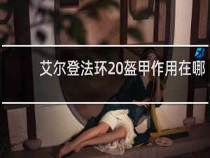 艾尔登法环 盔甲作用在哪