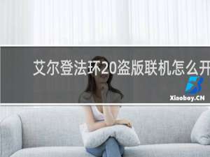 艾尔登法环 盗版联机怎么开