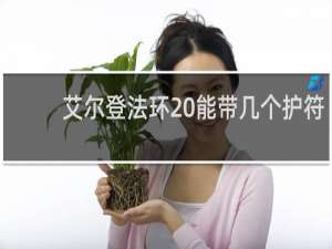 艾尔登法环 能带几个护符