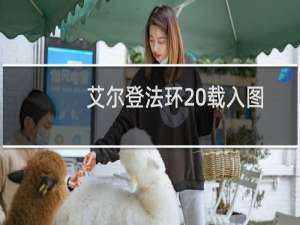 艾尔登法环 载入图