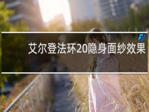 艾尔登法环 隐身面纱效果