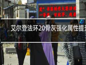 艾尔登法环 骨灰强化属性提升