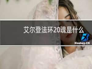 艾尔登法环 魂是什么