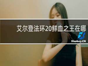 艾尔登法环 鲜血之王在哪