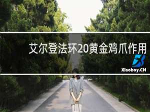 艾尔登法环 黄金鸡爪作用