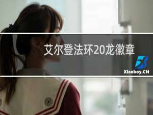 艾尔登法环 龙徽章