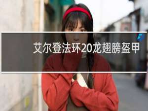 艾尔登法环 龙翅膀盔甲