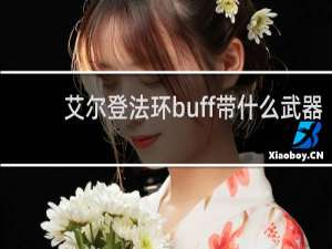 艾尔登法环buff带什么武器