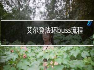 艾尔登法环buss流程