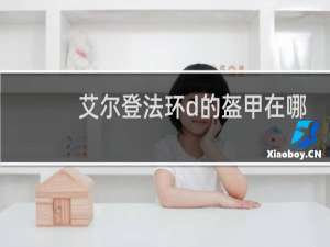 艾尔登法环d的盔甲在哪