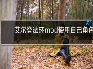 艾尔登法环mod使用自己角色