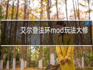 艾尔登法环mod玩法大修