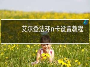 艾尔登法环n卡设置教程