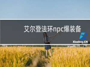 艾尔登法环npc爆装备