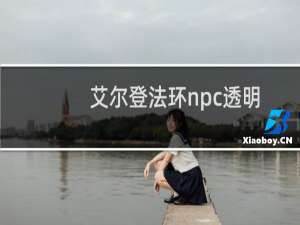 艾尔登法环npc透明