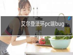 艾尔登法环pc端bug