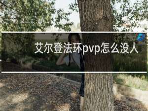 艾尔登法环pvp怎么没人