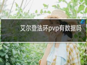 艾尔登法环pvp有数据吗