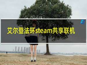 艾尔登法环steam共享联机