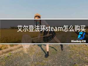 艾尔登法环steam怎么购买
