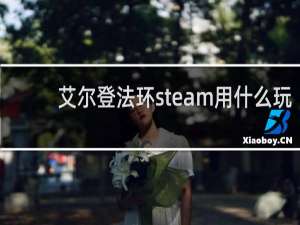 艾尔登法环steam用什么玩