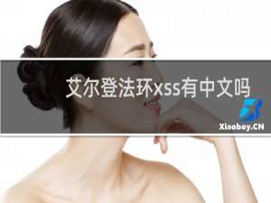 艾尔登法环xss有中文吗