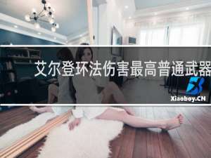 艾尔登环法伤害最高普通武器