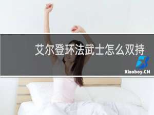 艾尔登环法武士怎么双持