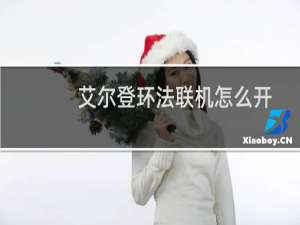 艾尔登环法联机怎么开