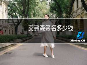 艾弗森签名多少钱