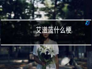 艾滋蓝什么梗