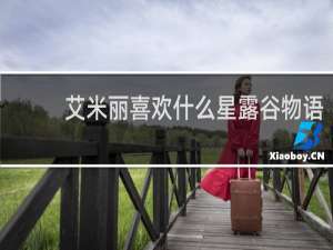 艾米丽喜欢什么星露谷物语