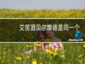 艾苦酒贝尔摩德是同一个人吗