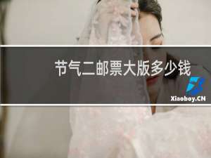 节气二邮票大版多少钱