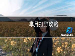 芈月打野攻略