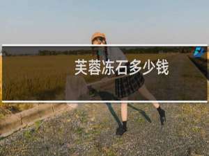 芙蓉冻石多少钱