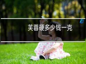 芙蓉硬多少钱一克