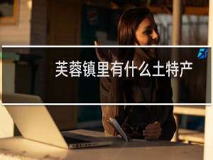 芙蓉镇里有什么土特产