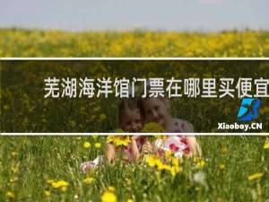 芜湖海洋馆门票在哪里买便宜