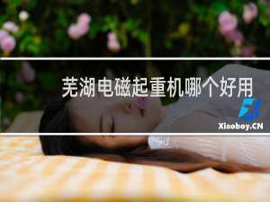 芜湖电磁起重机哪个好用