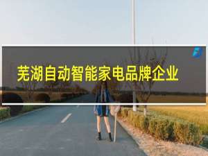 芜湖自动智能家电品牌企业