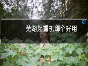 芜湖起重机哪个好用