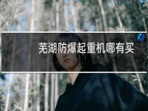 芜湖防爆起重机哪有买